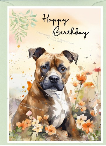 Staffordshire bull terrier - staffordshire,