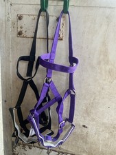 Kincade Lunge Cavessons 