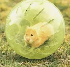  Exercise Ball running toy