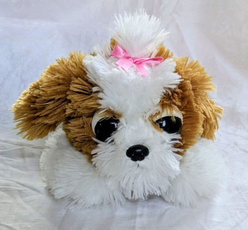 Safeway people pals shih tzu - shih,