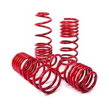 MTS TECHNIK Lowering Springs
