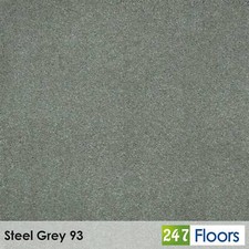 Magnificus Invictus Carpet