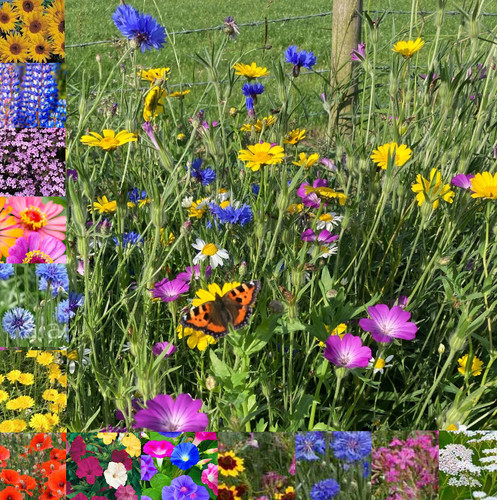 Native wild flower throw - native,