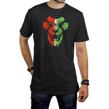 Imran Khan PTI Pakistan Lion