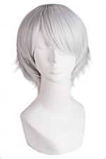 32cm Anime Fashion Short Straight Hair Cosplay Role Play Short Wig for  Daily