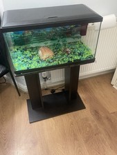 BOYU Aquarium Fish Tank with
