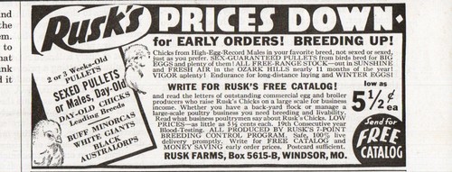 Windsor rusk farms buff - windsor,