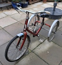 Original Childs Raleigh Lion