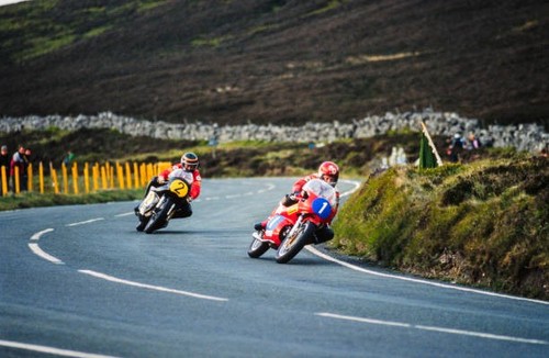 Steve cull aermacchi leads - cull,