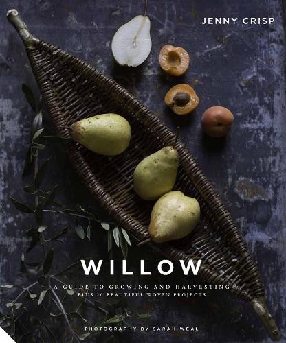 Willow jenny crisp - jenny,