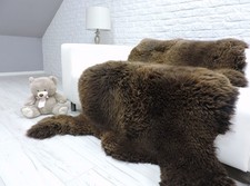 Bear Skin Rug: Giant Real