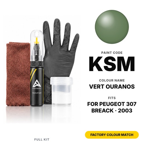 Touch paint for peugeot - for, 307