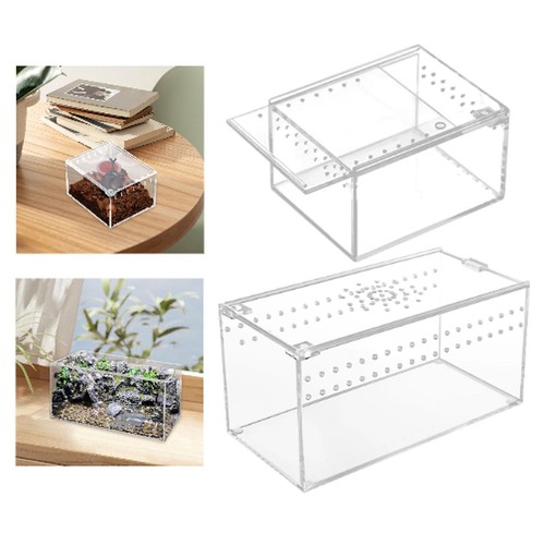 Reptile terrarium container - reptile,