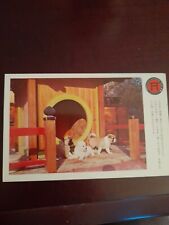 Old Postcard 3 Japanese Akita Puppies Deer Park California