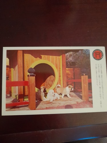 Old postcard japanese akita - 3,