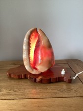 Vintage Mid Century Conch Shell Table Lamp Wooden Base