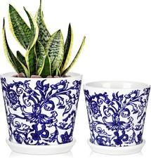 Blue and White Ceramic Plant