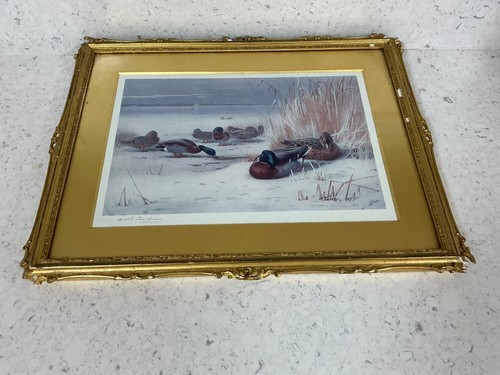 Archibald thorburn sgnd print - archibald, sgnd.