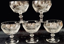 Etched Floral Champagne Coupe