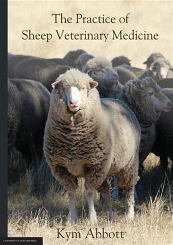 The practice sheep - the, of