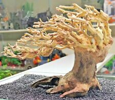 Bonsai Tree Ornament Aquarium