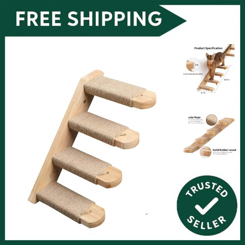 Cat climbing shelf wall - cat,