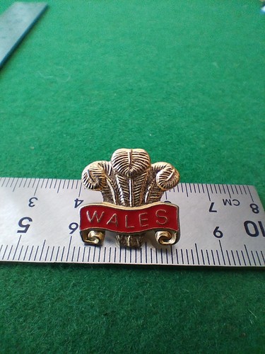Vintage prince wales - vintage, of