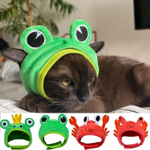 Cat frog hat dog crab - cat,
