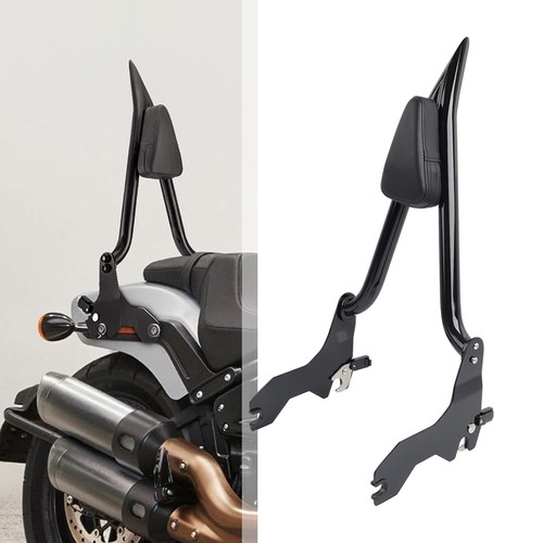 Sissy bar passenger backrest - bar,