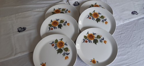 Vintage mid century dinner - x,