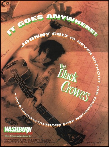 The black crowes - the,