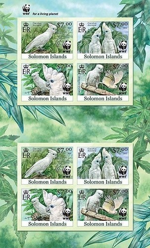 Wwf white cockatoo birds - white,