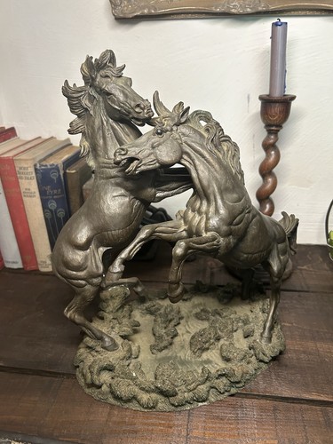 Fighting stallions cold - fighting,