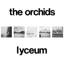 The Orchids - Lyceum  2 x