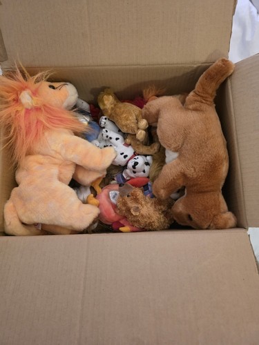 Box full various beanie - full,