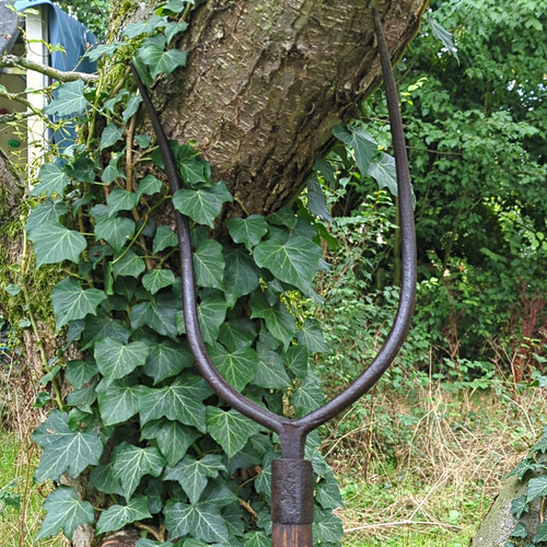 Long handle two tine - long,