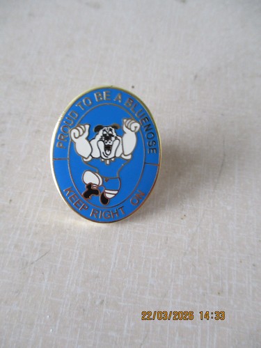 Badge birmingham city - birmingham, beau