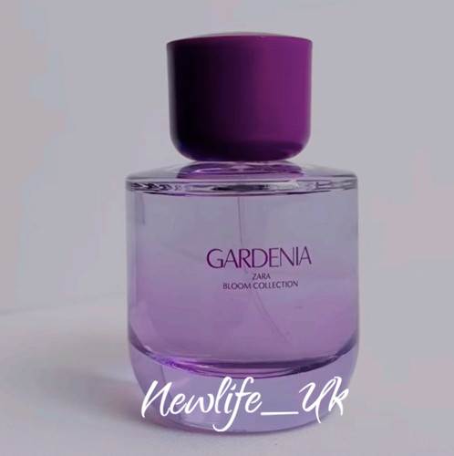 Zara women gardenia - women, limited