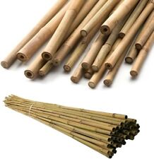 Heavy Duty Bamboo Canes Professional Thick Plant Support Garden 2FT - 6FT