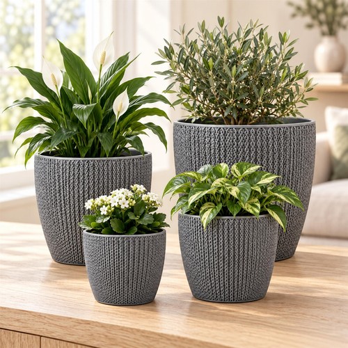Grey plant pots - plant, indoor