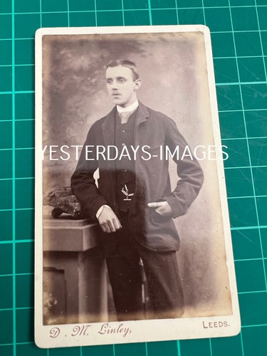 Young man david - man,
