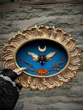 Framed Gildef Cicada Insect