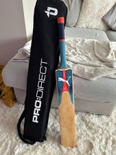 PUMA evoSPEED English Willow