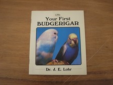 Your First Budgerigar