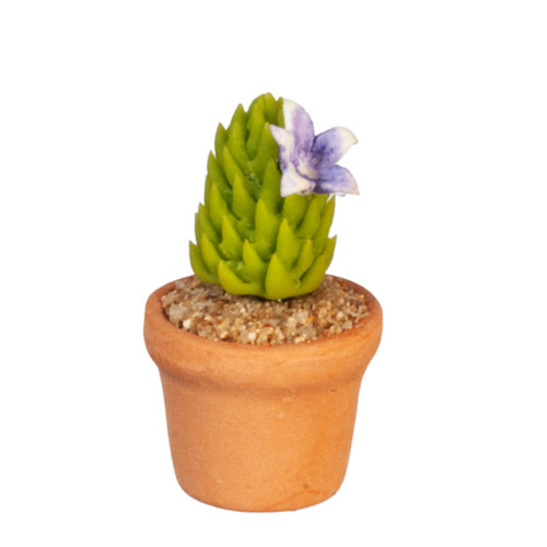 Dolls house cactus - dolls,