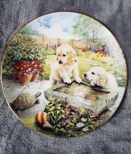 Hamilton labrador decorative - hamilton,