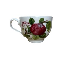 Portmeirion Pomona Tea Cup -