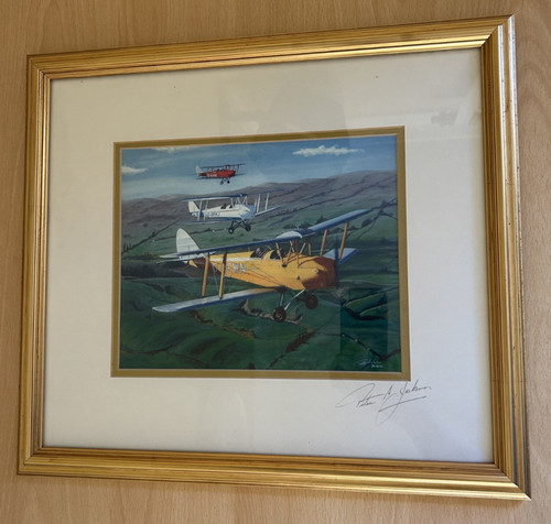 Original tiger moth bpaj - original,
