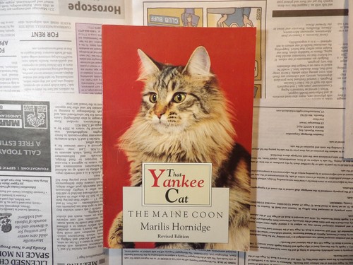 That yankee cat - that, the