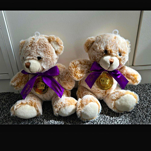 Beige plush teddy bears - teddy,